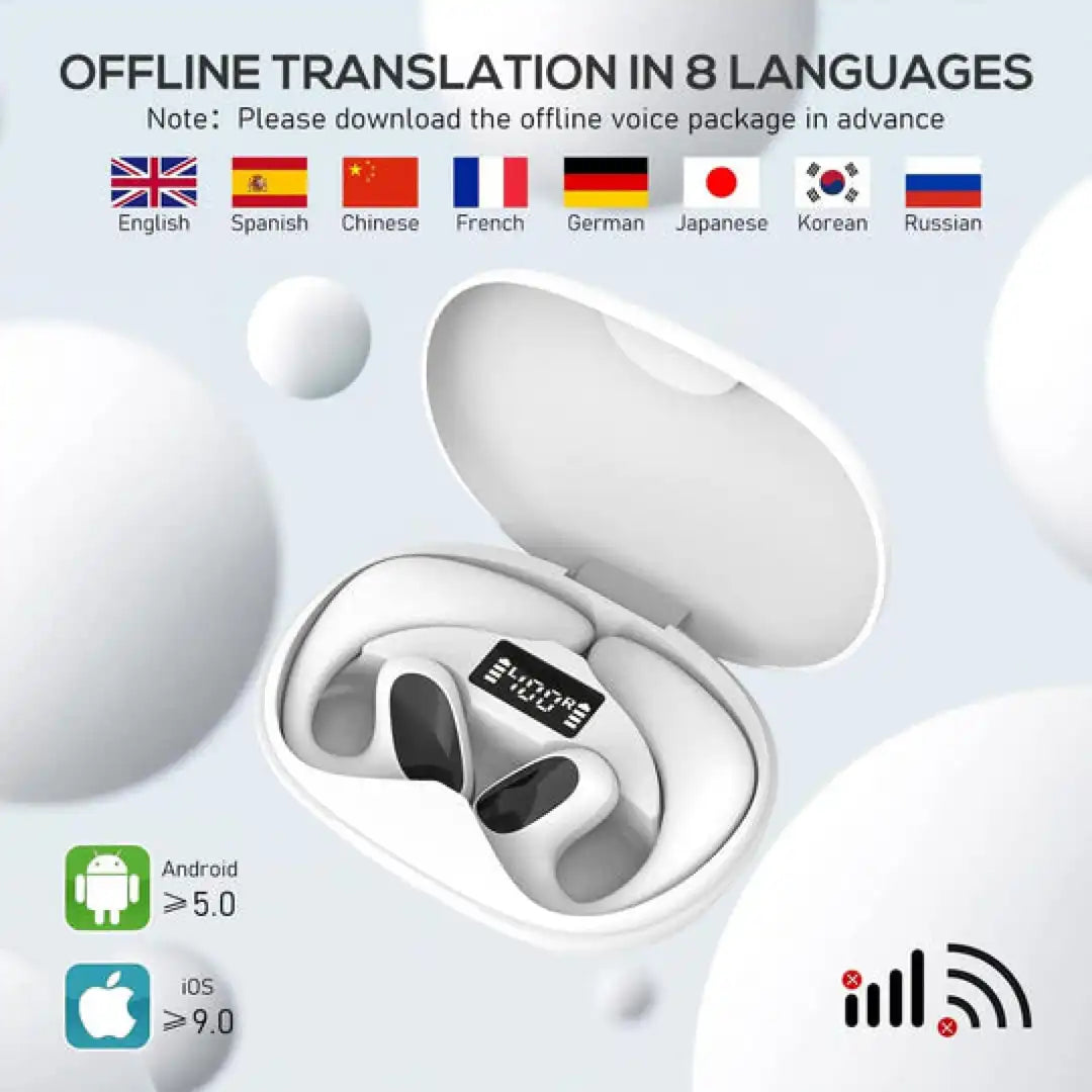 AilyMur v2 (2025) Translator Earbuds